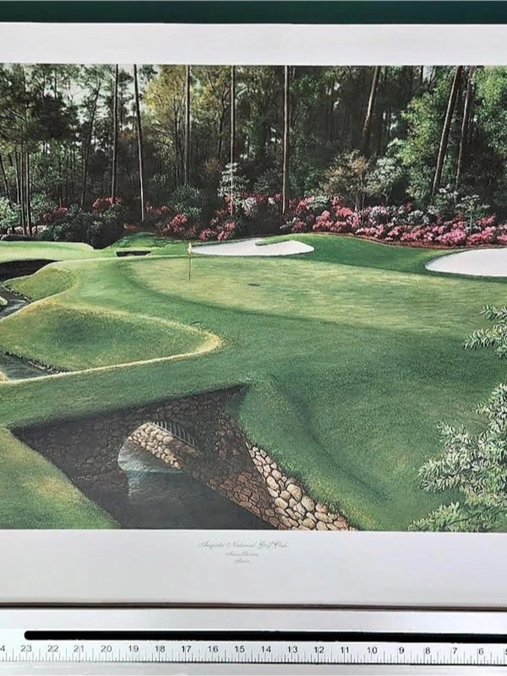 Augusta National Golf Club 13th Hole Azalea Print Green & Pink